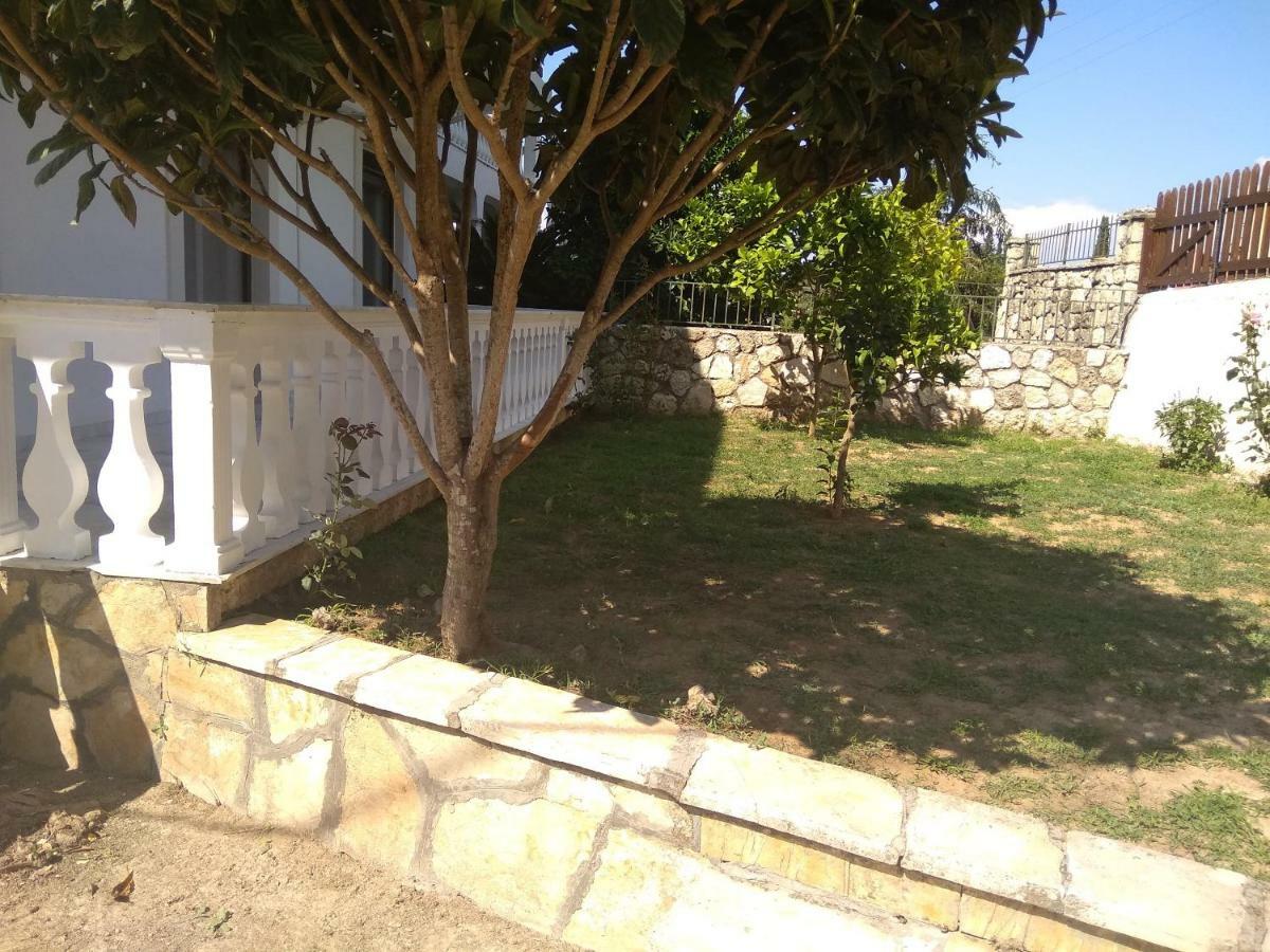 Vátos Despina House Ermonesヴィラ エクステリア 写真